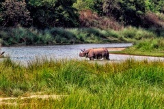 bardia-national-park-5