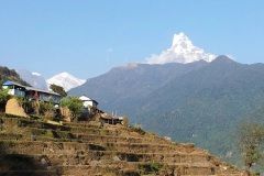 the-traditional-settlers-in-these-mountains-were-the-Sherpas-and-they-created-these-step-fields-so-you-will-see-plenty-of-them-when-trekking-in-Nepal