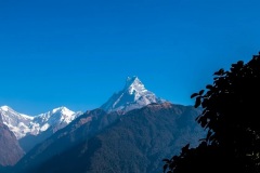 you-can-see-the-mountain-known-as-Fishtail-from-miles-in-any-direction